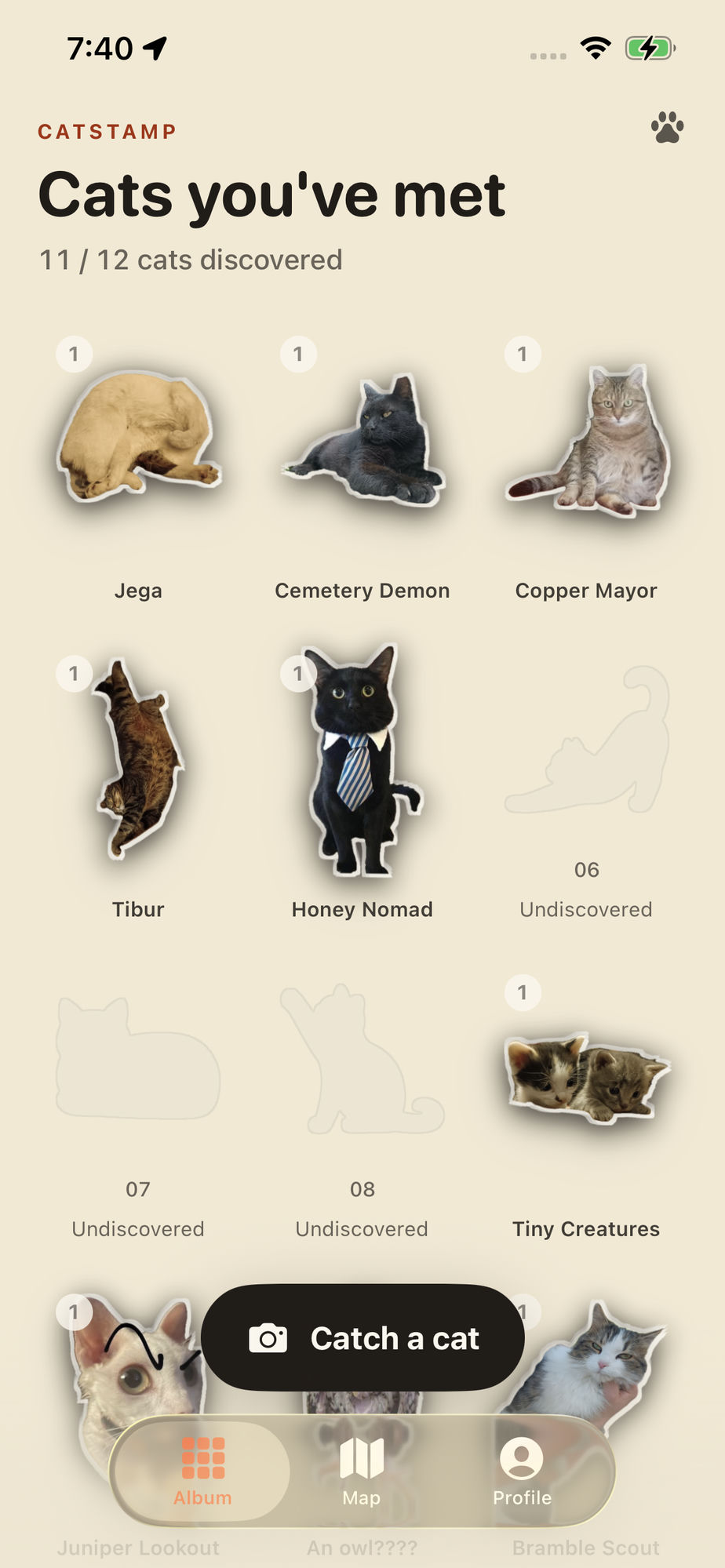 CatStamp album view showing collected cats with 11 of 12 slots filled